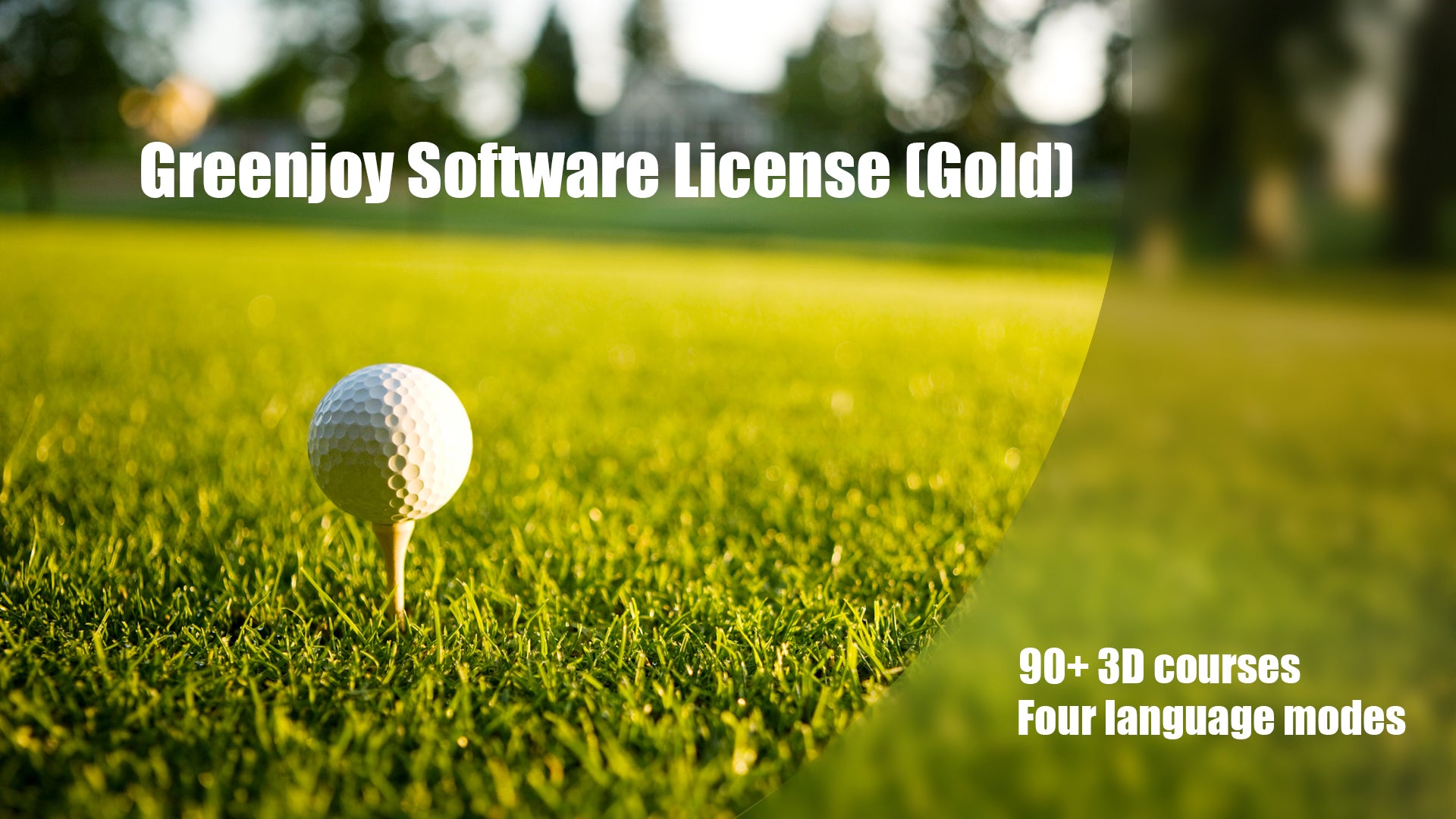 GreenJoy Software License